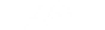 Web Designer Portfolio